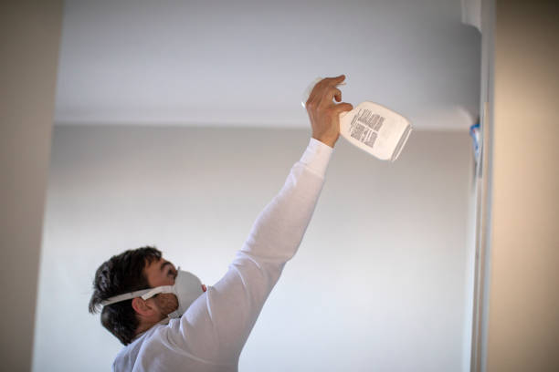 Best Home Mold Removal  in Church Hill, MD