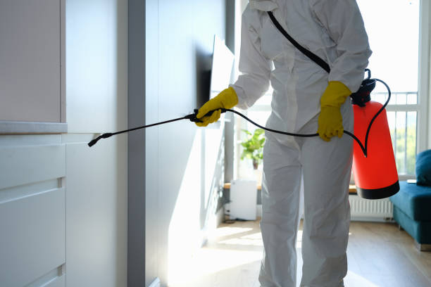 Best Crawl Space Mold Removal  in Church Hill, MD